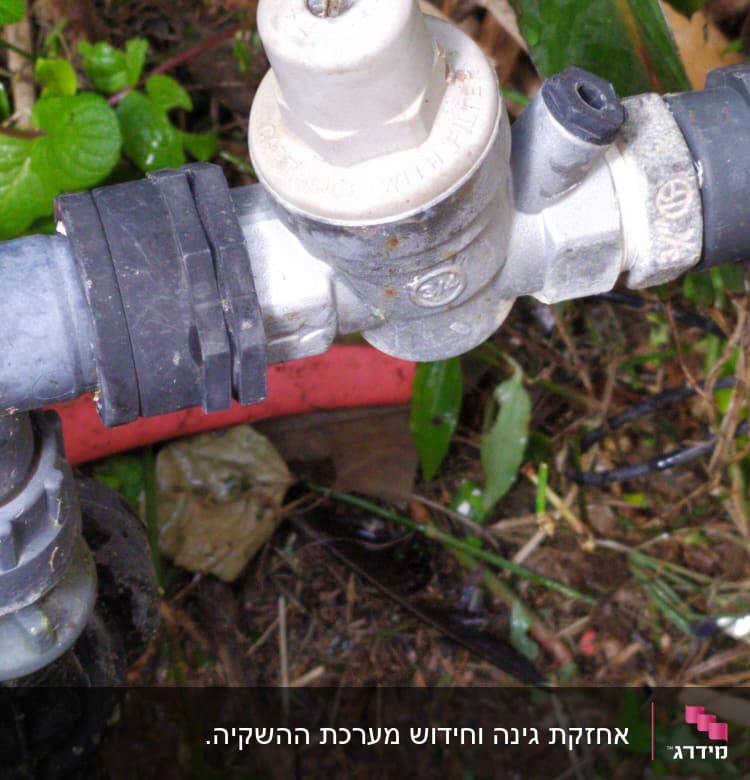 שסתום מים בגינה עם צינור מחובר